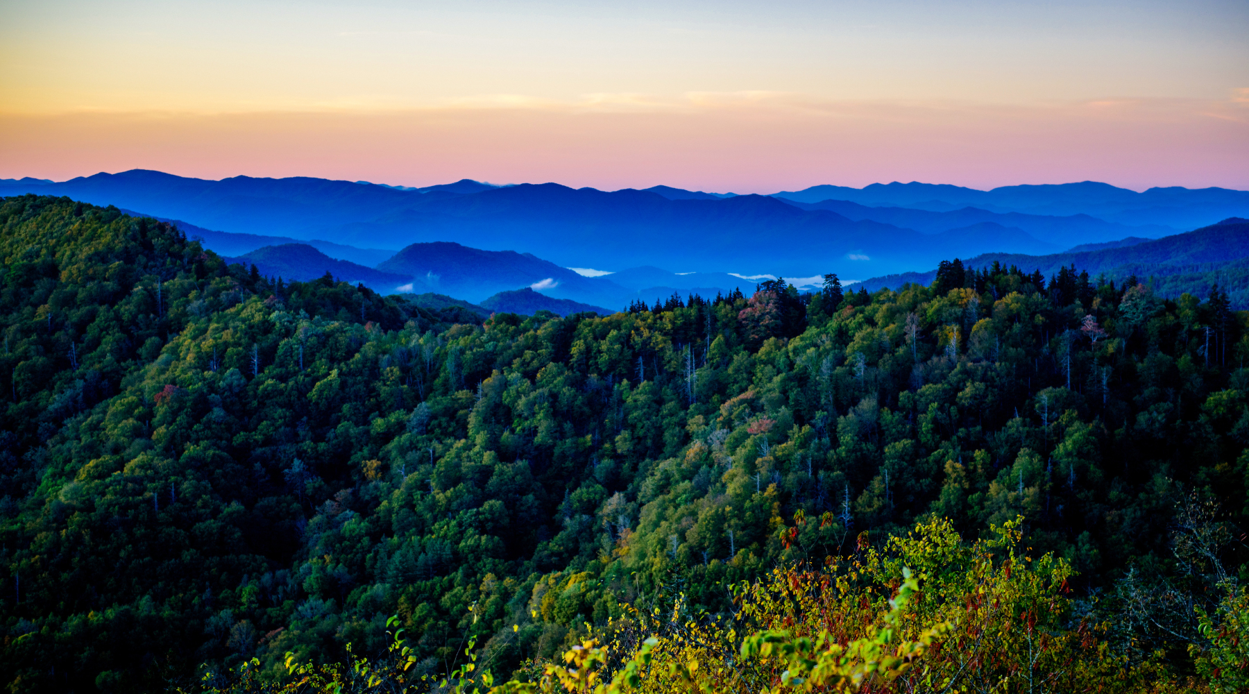 Deepening Wellness: Fostering Relationships & Awareness