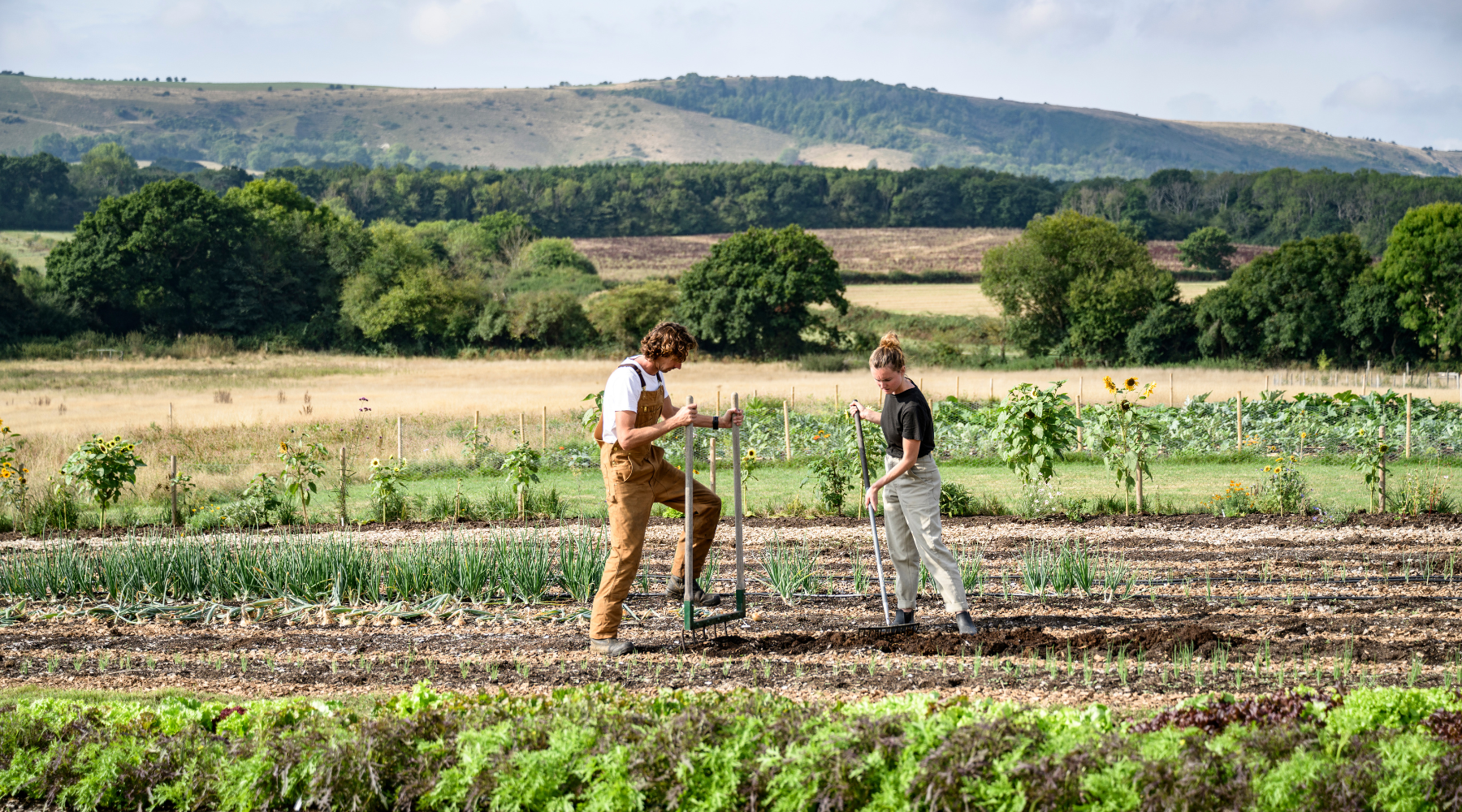 Regenerative farming 