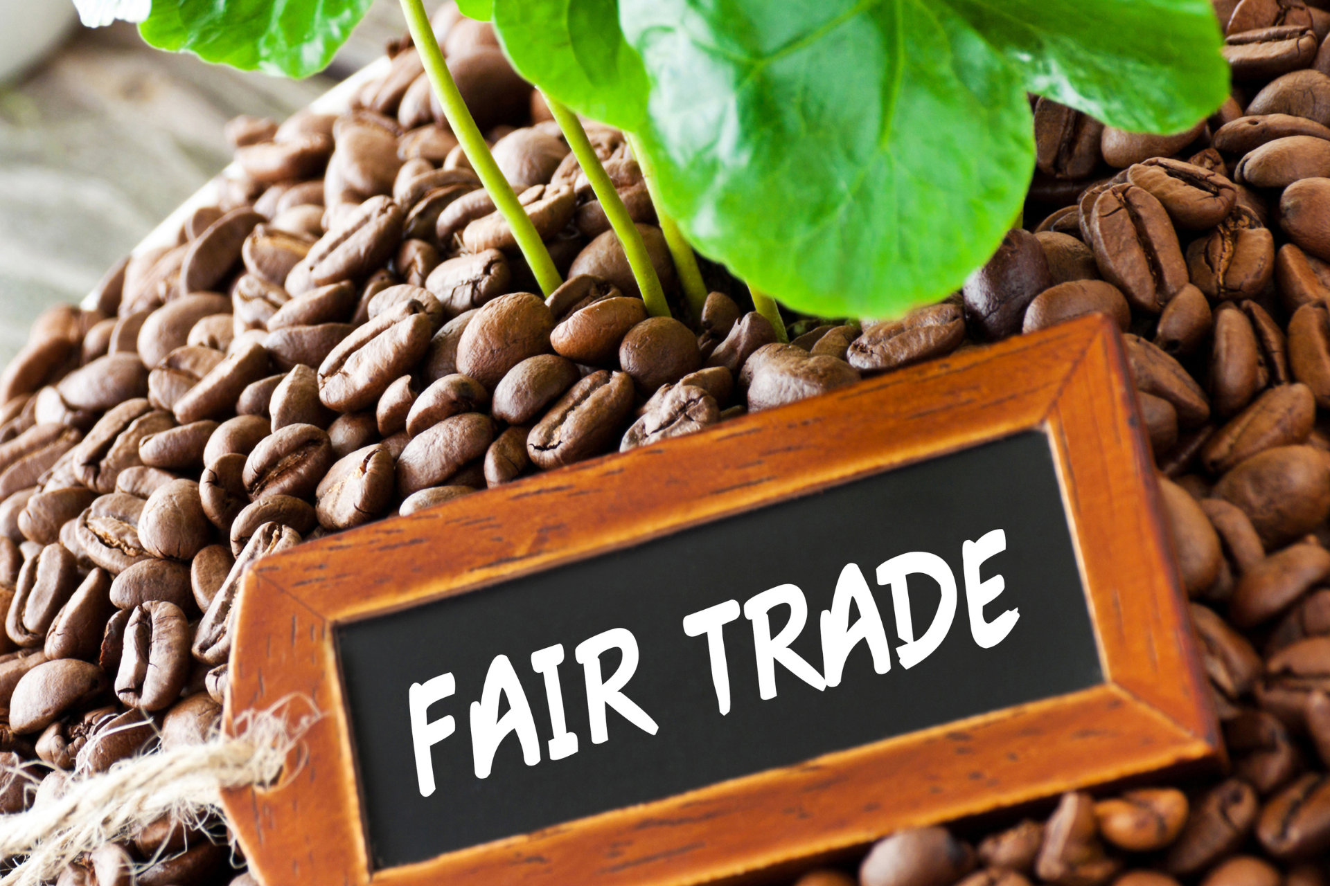 Fair trade