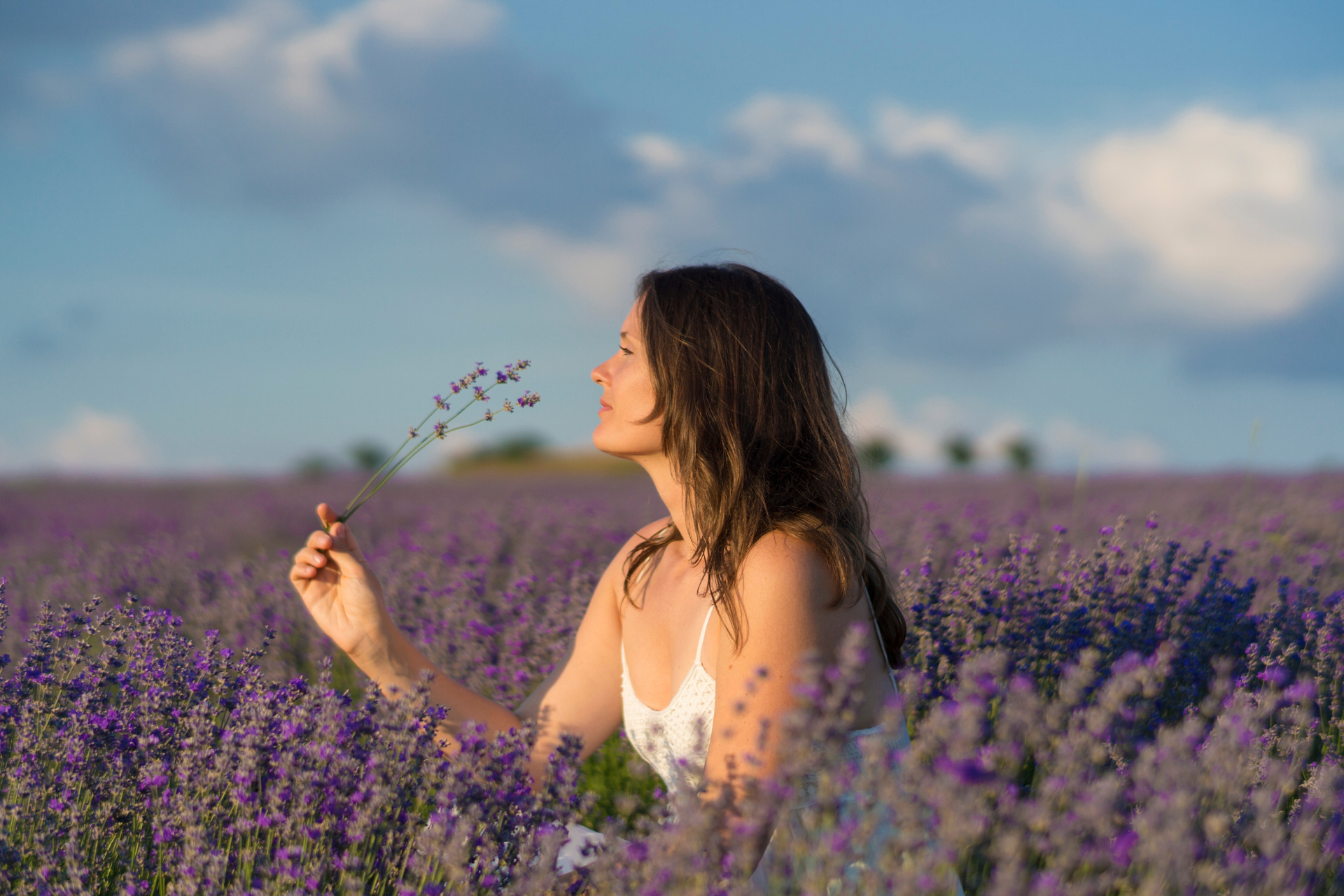 Lavender field