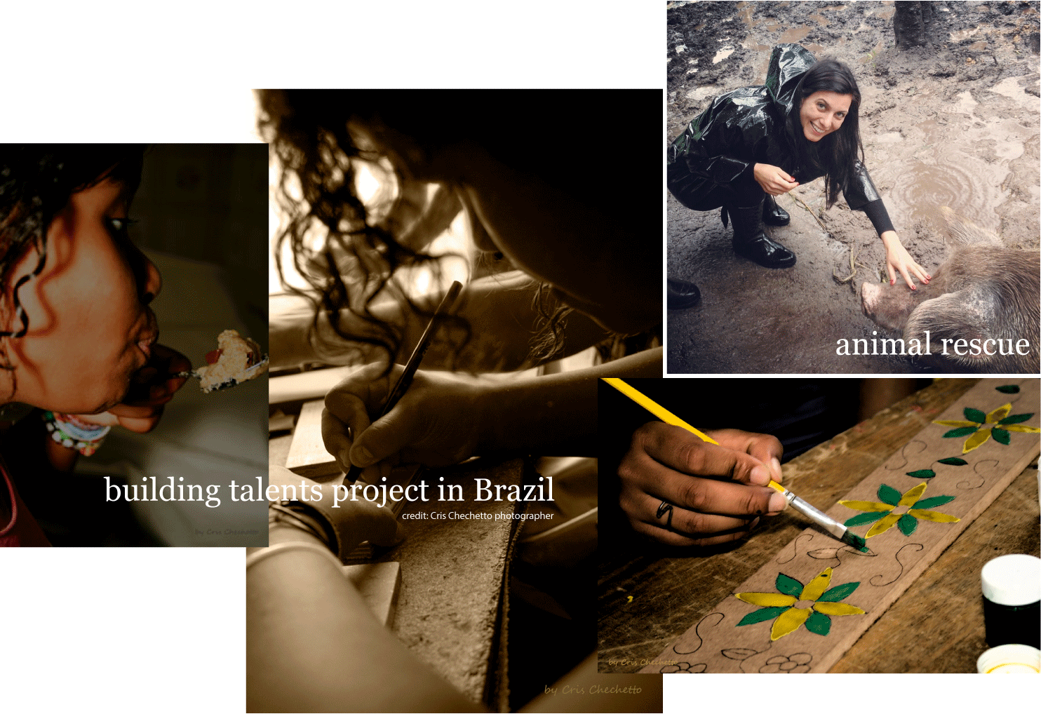 Social Impact Strategy and Project Development